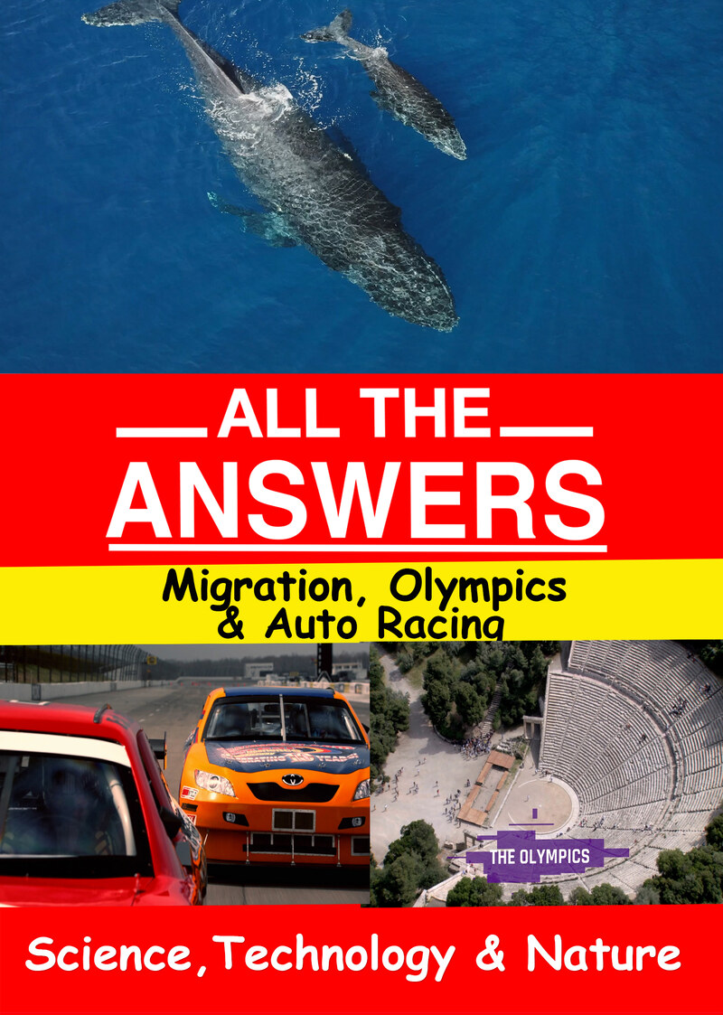 KB9165 - All The Answers - Migration, Olympics & Auto Racing