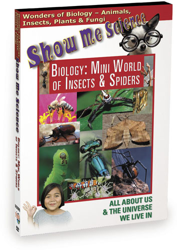 K4501 - Biology Mini World Of Insects & Spiders