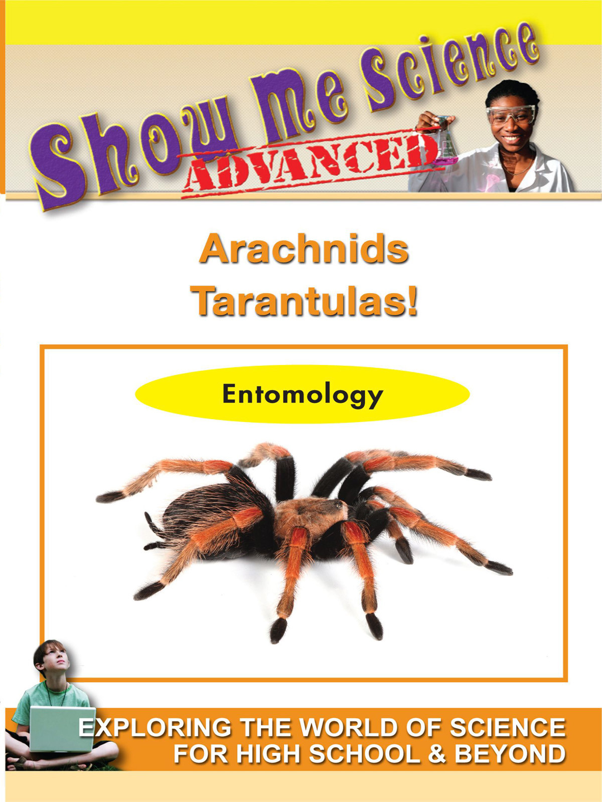 K4631 - Arachnids Tarantulas!
