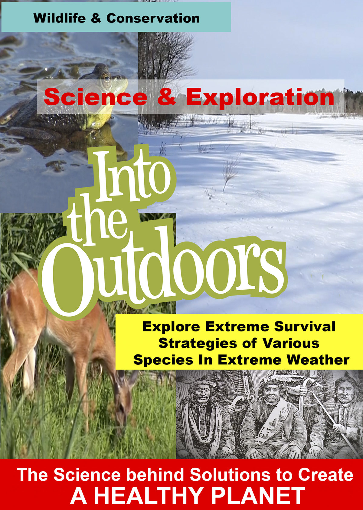 K4970 - Explore Extreme Survival Strategies of Various Species In Extreme Weather