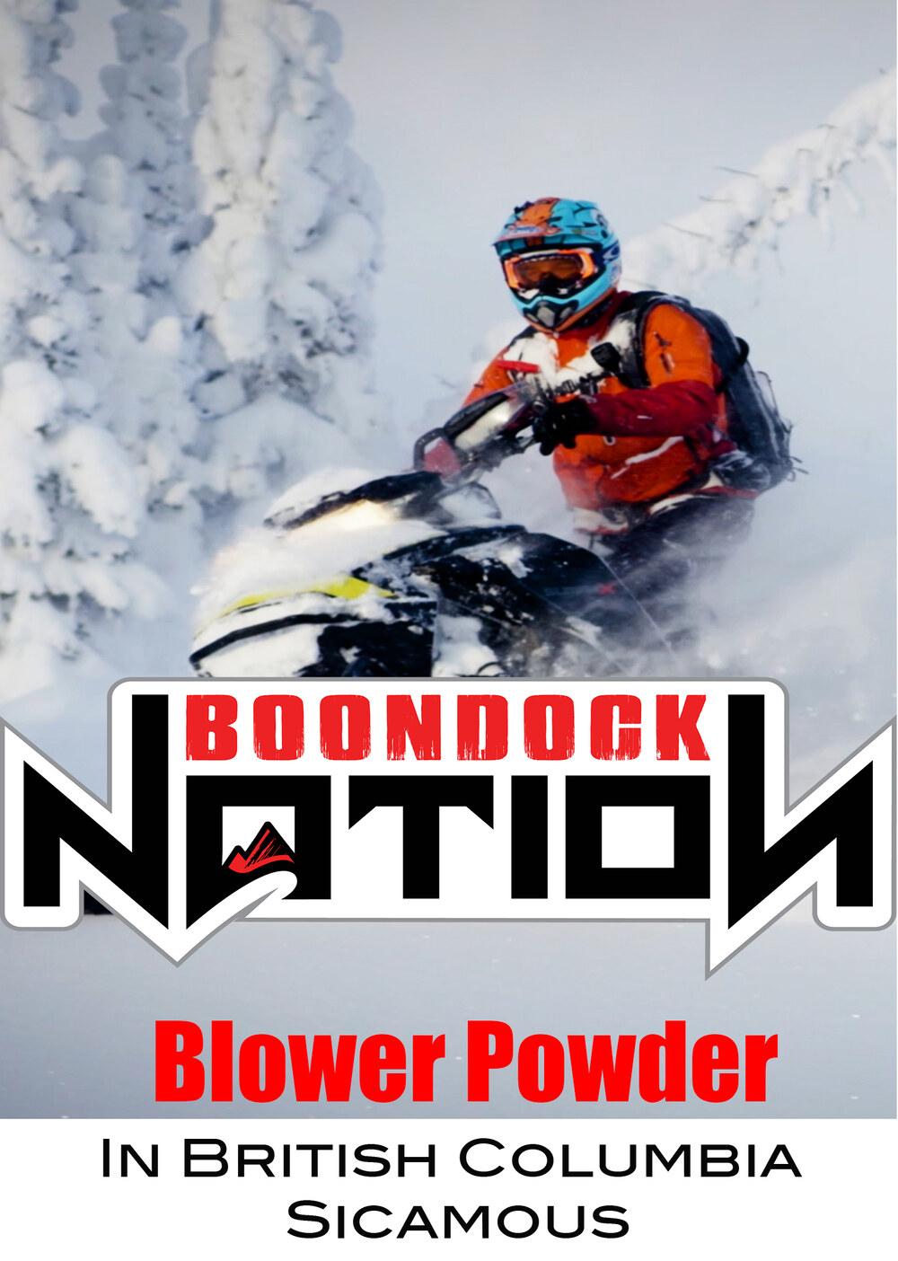 K5033 - Blower Powder in British Columbia Sicamous