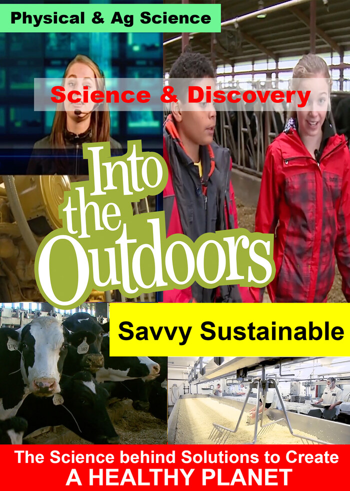 K5305 - Savvy Sustainable