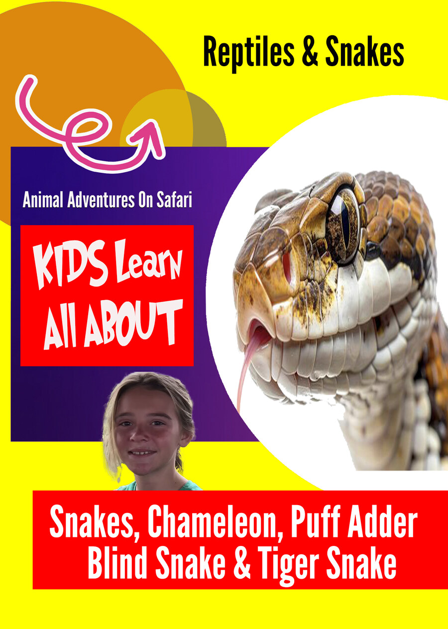 K9992 - Reptiles & Snakes - Snakes, Chameleon, Puff Adder, Blind Snake & Tiger Snake