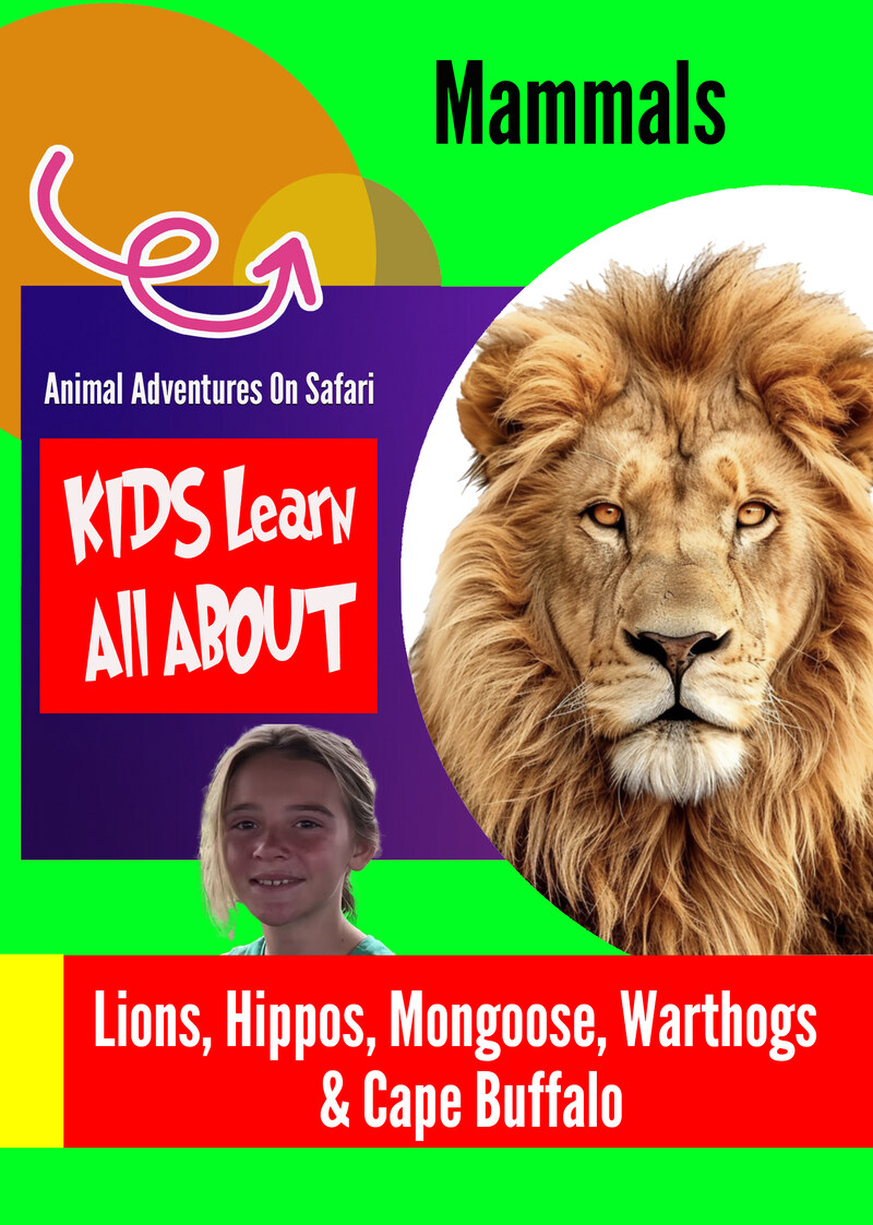 K9993 - Mammals - Lion, Hippos, Mongoose, Warthogs & Cape Buffalo