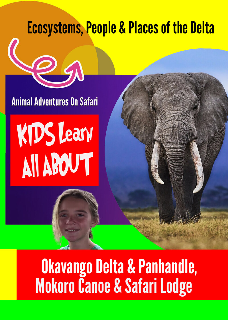 K9996 - Ecosystems, People & Places of the Delta - Okavango Delta & Panhandle, Mokoro Canoe & Safari Lodge