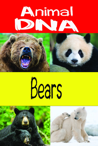 KB9192 - Animal DNA - Bears