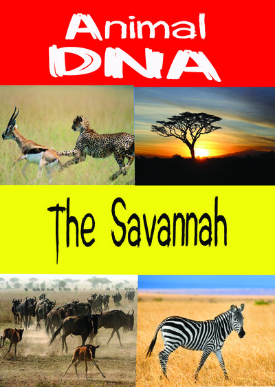 KB9193 - Animal DNA - The Savannah