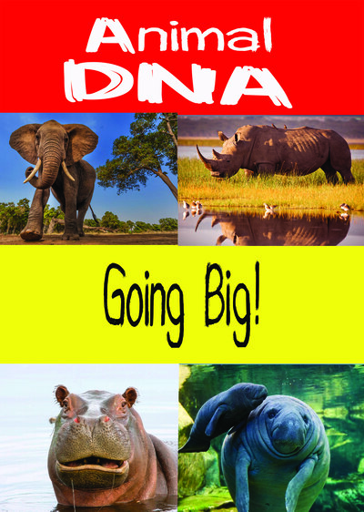 KB9194 - Animal DNA - Going Big!