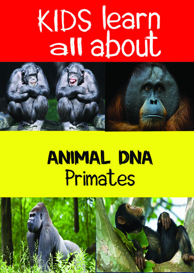 KB9196 - Kids Learn All About - Primates