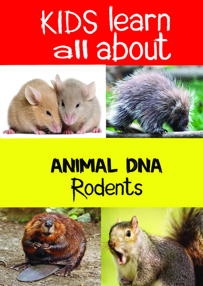 KB9199 - Kids Learn All About -  Rodents