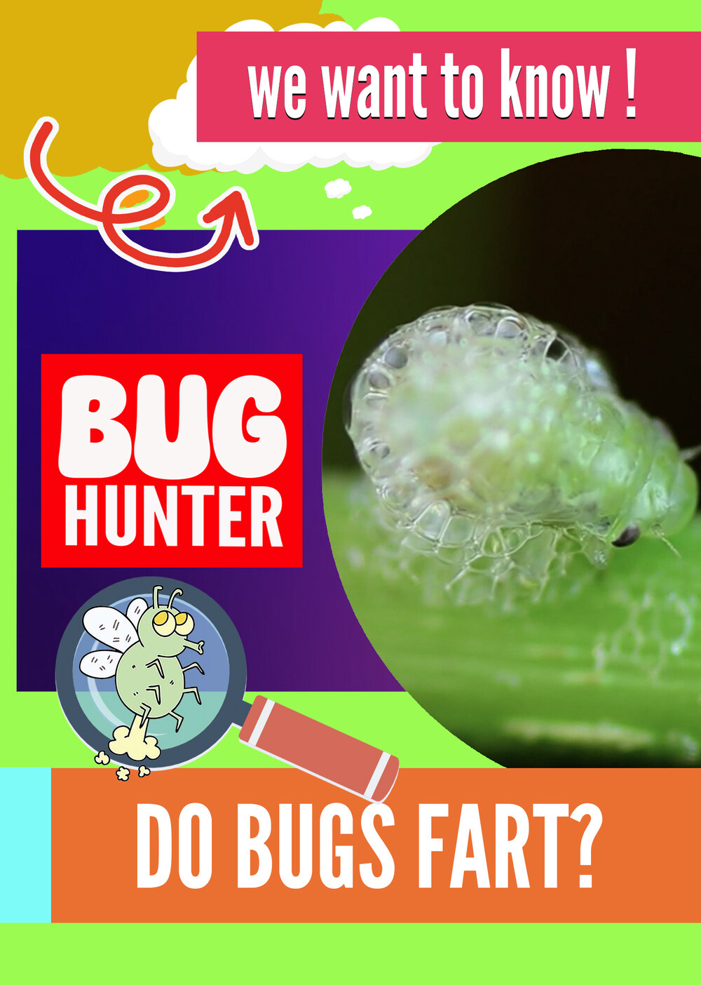 KB9263 - Do Bugs Fart?