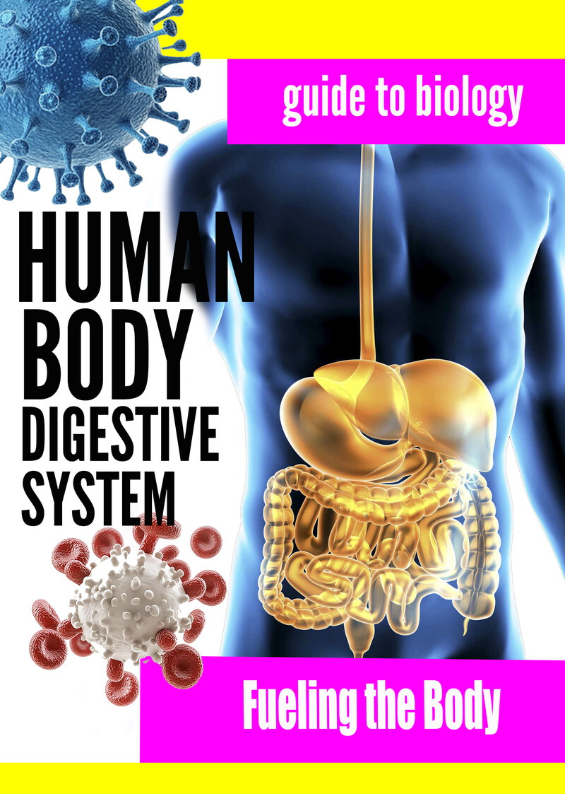 KB9409 - The Digestive System - Fueling the Body