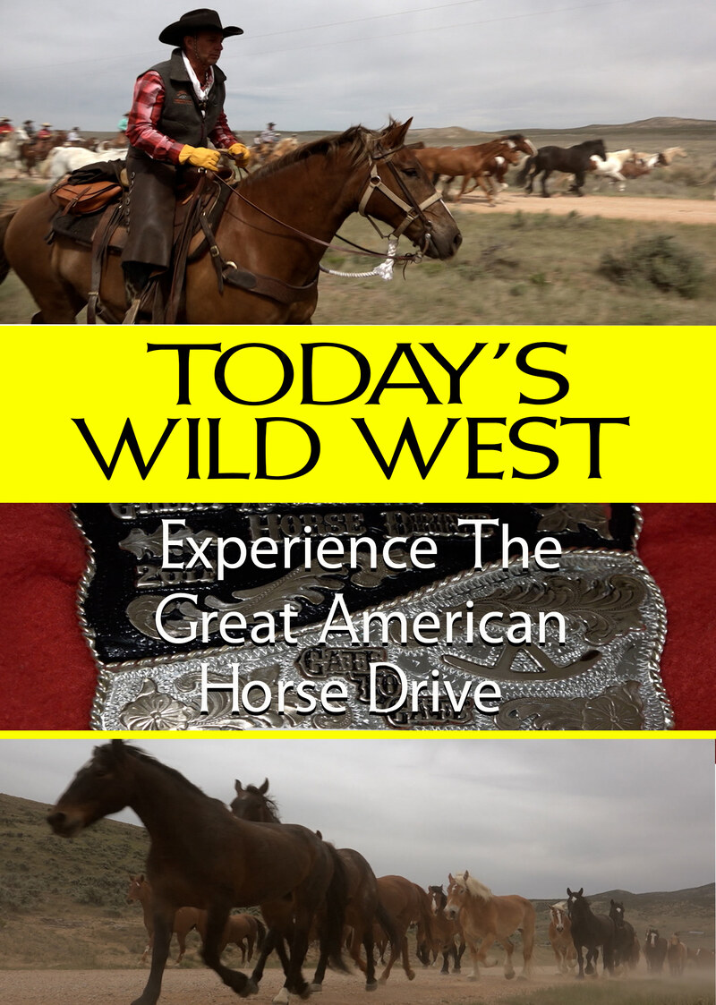 T7138 - Experience The Great American Horse Drive