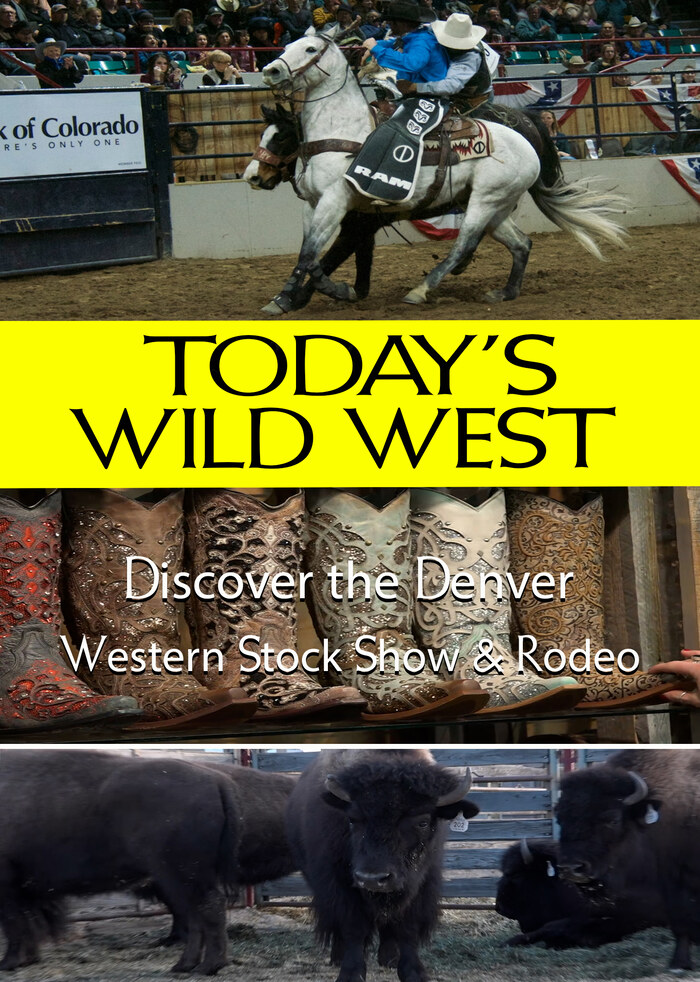 T7143 - Discover The Denver Western Stock Show & Rodeo