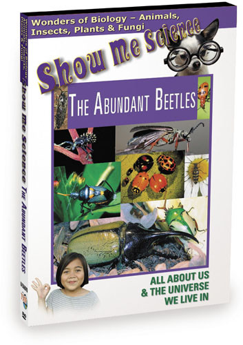 K4506 - Biology The Abundant Beetles