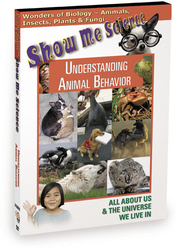 K4508 - Biology Understanding Animal Behavior