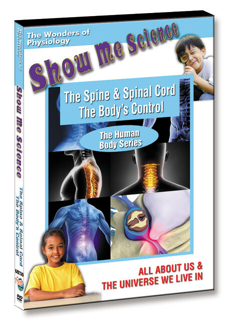 K4587 - The Spine & Spinal Cord The BodyOs Control