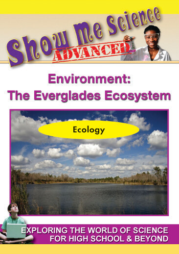 K4663 - Environment The Everglades Ecosystem