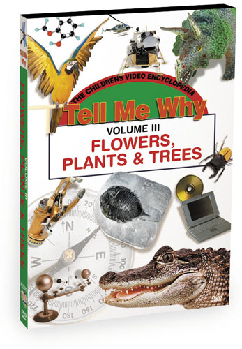 K622 - Tell Me Why Flowers Plants and Trees