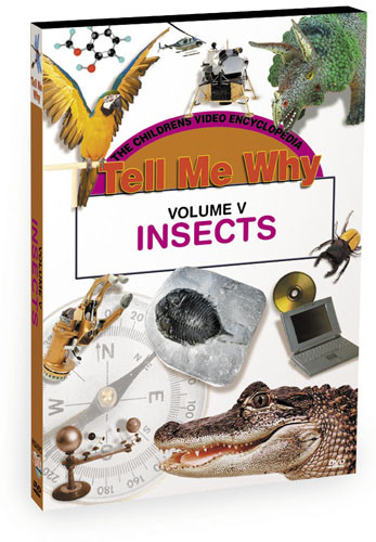 K624 - Tell Me Why Insects