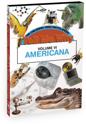 K625 - Tell Me Why Americana