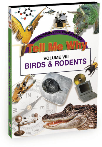 K627 - Tell Me Why Birds & Rodents