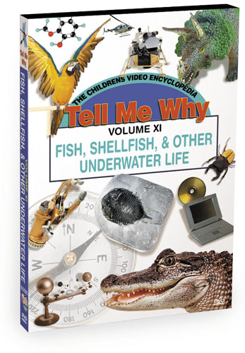 K630 - Tell Me Why Fish Shellfish & Other Underwater Life