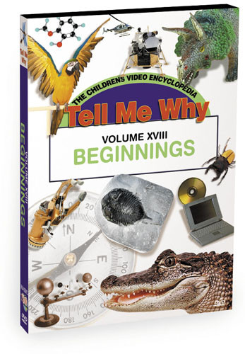 K640 - Tell Me Why  Beginnings
