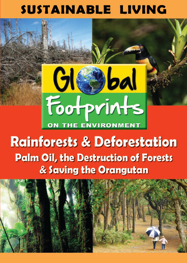 K4702 - Rainforests & Deforestation, Palm Oil  & Saving the Orangutan